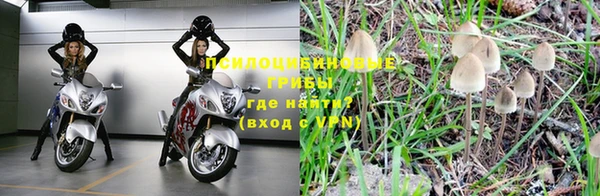 не бодяженный Алексин